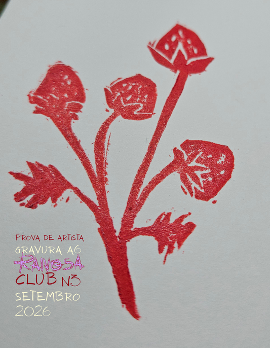 Gravura Cartão Postal A6 - Raivosa Club Assinatura Mensal